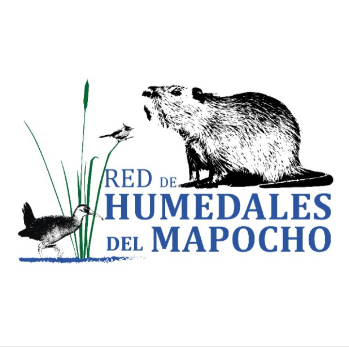 Red de Humedales del Mapopcho