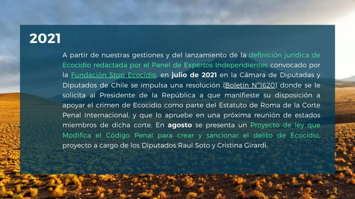 Quiénes Somos - Chile Sin Ecocidio-pages-4